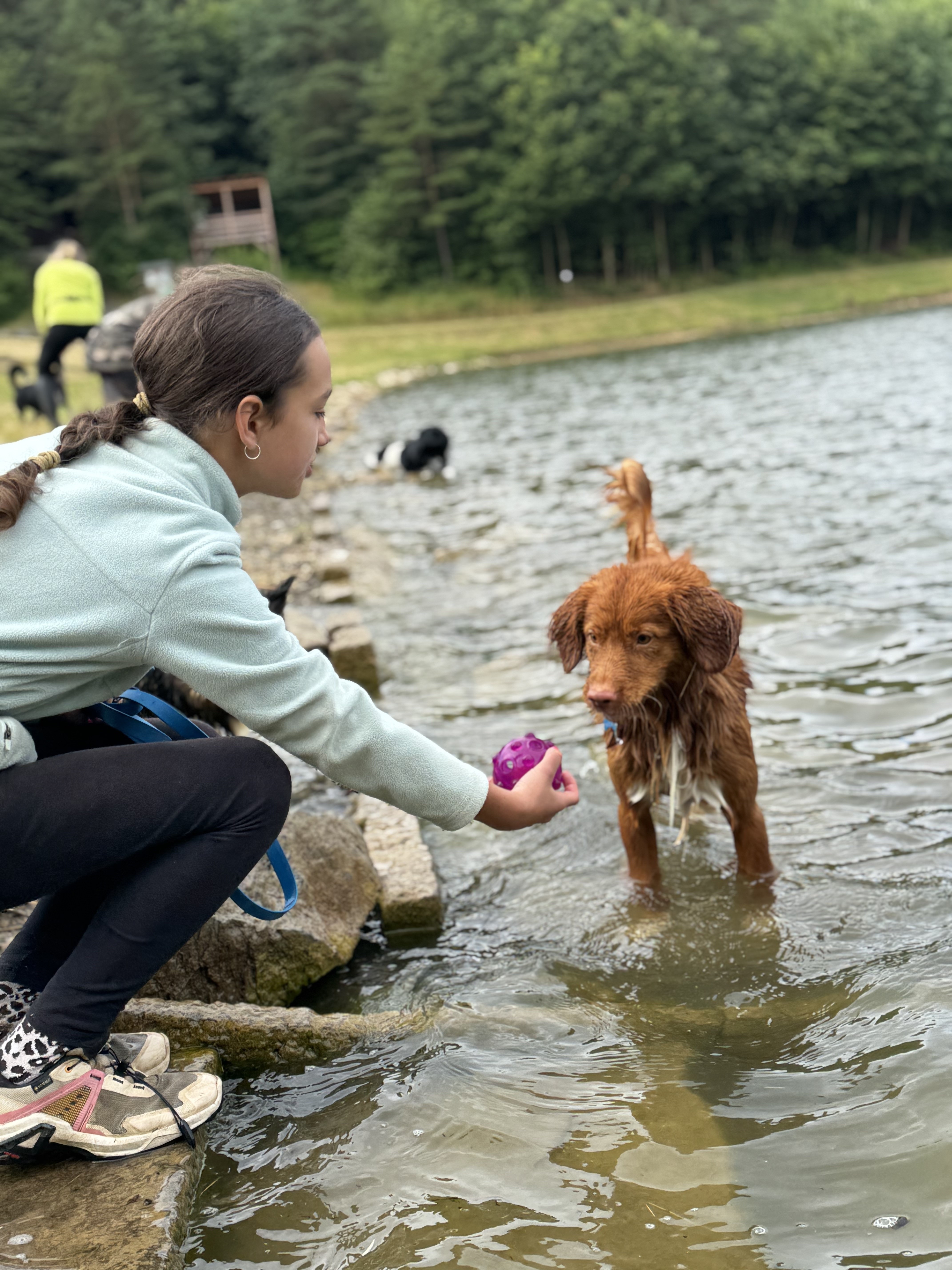 🐶 PŘÍMĚSTSKÝ TÁBOR SE PSY 