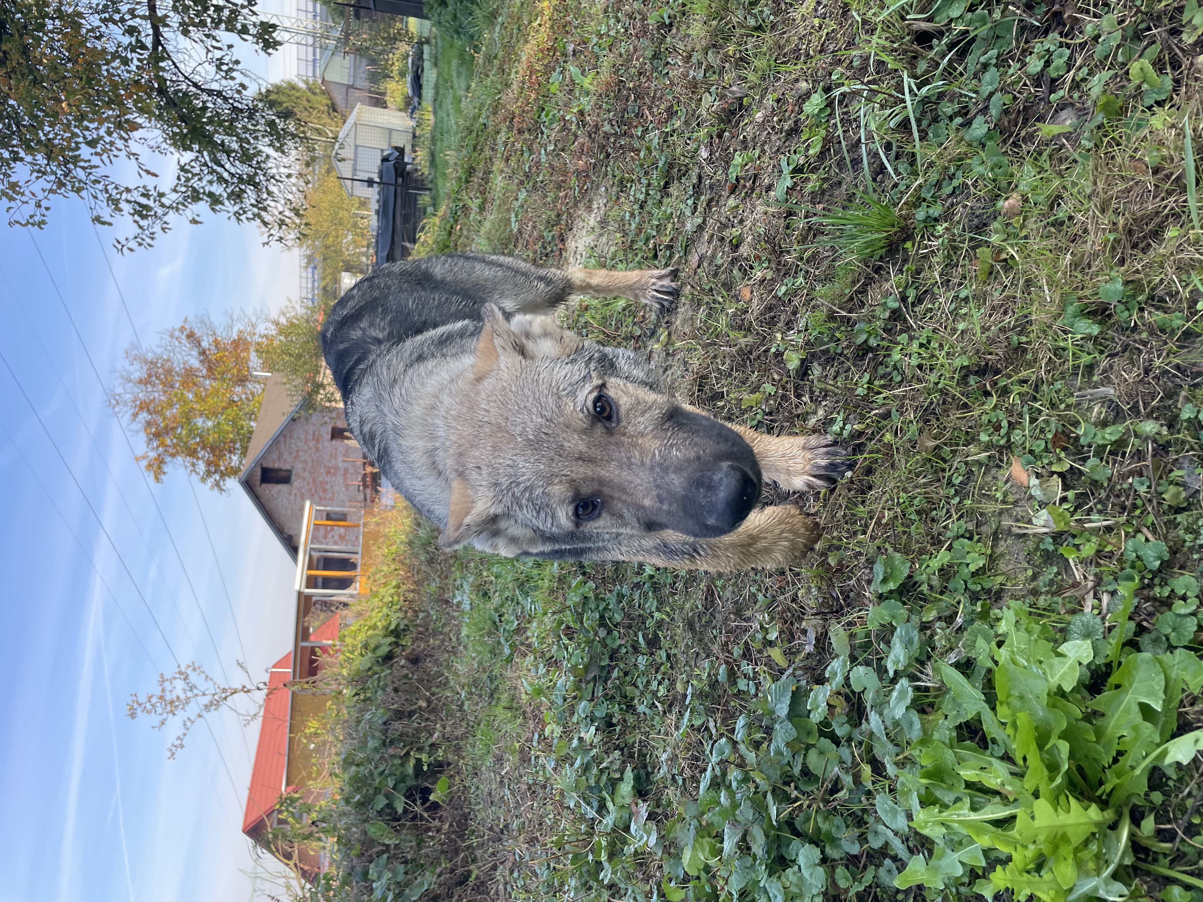 Podívejte se kdo si právě užívá pobyt v Hotelu Hrbolná! 🐶